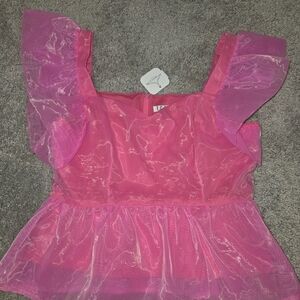 Pink Sheer Ruffle Sleeve Top